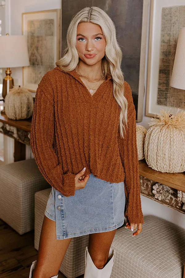 Harvest Hues Knit Sweater Top in Cinnamon