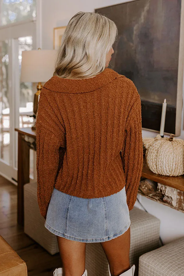 Harvest Hues Knit Sweater Top in Cinnamon