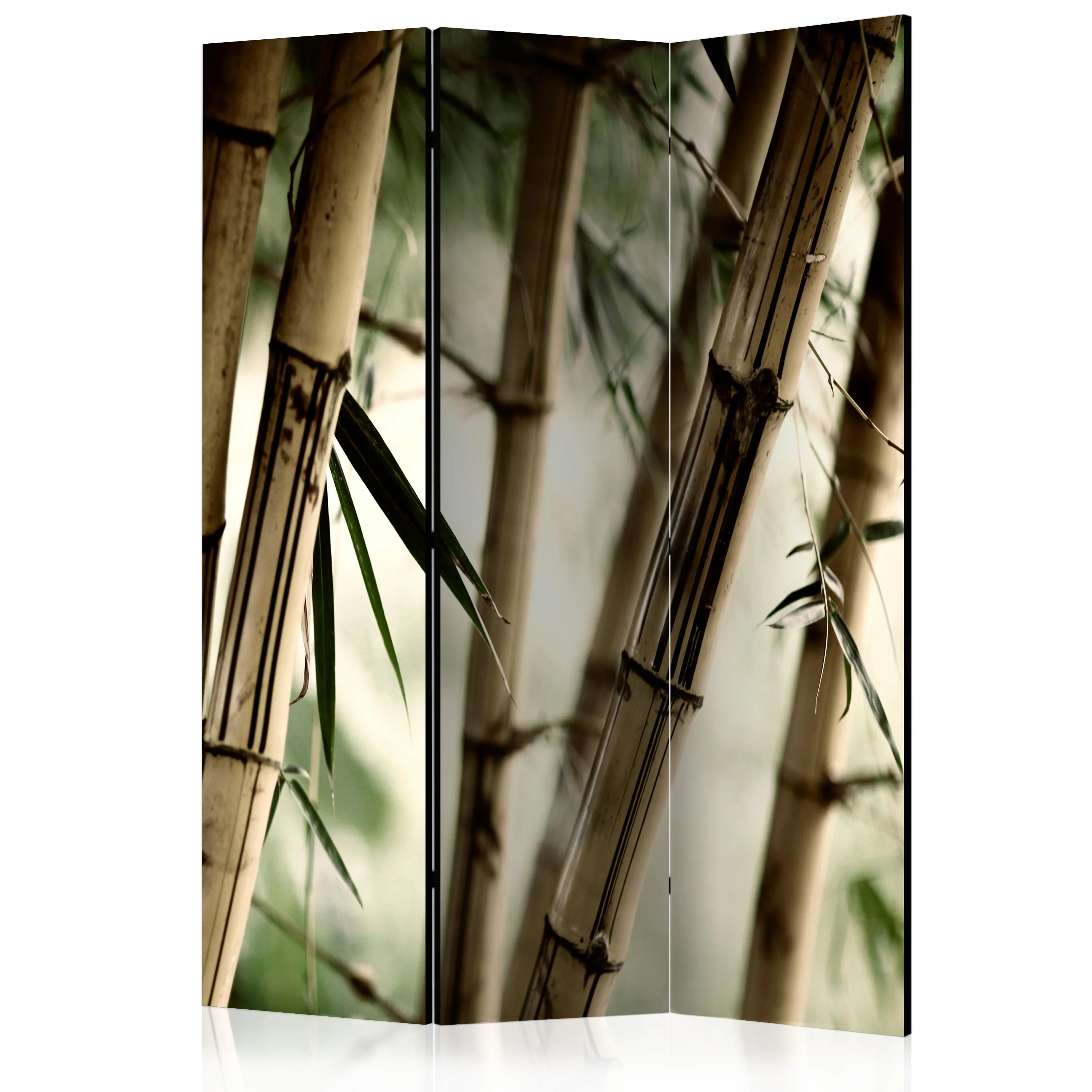 Paravento Fog and bamboo forest [Room Dividers]