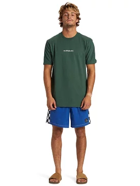 Quiksilver Men's Omni Logo DNA T-Shirt